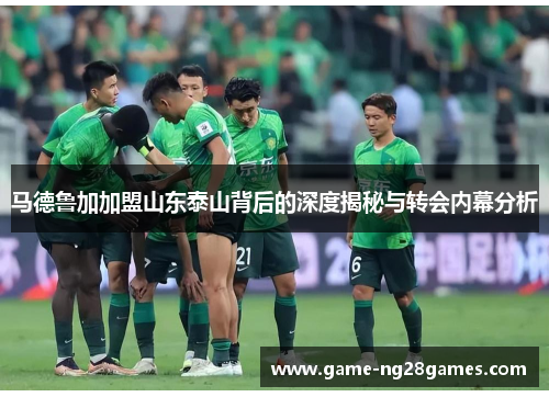 马德鲁加加盟山东泰山背后的深度揭秘与转会内幕分析
